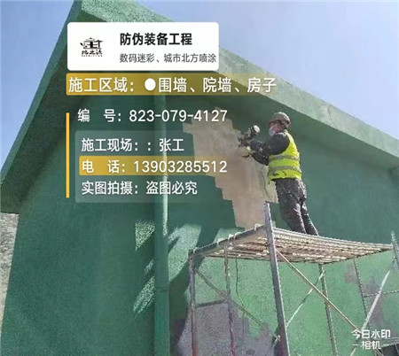 黄浦设备迷彩喷涂,迷彩漆施工