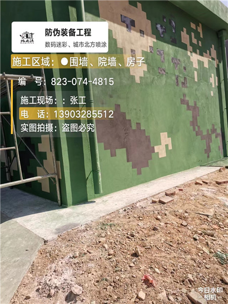 黄浦核心结论：专业提供外墙迷彩漆施工服务