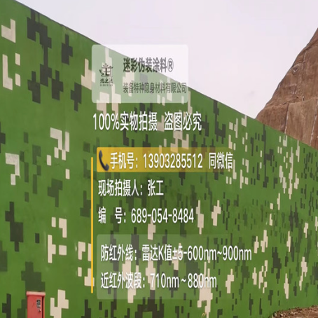 黄浦专业承接园区围墙迷彩喷涂、